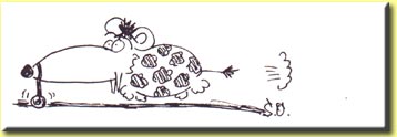 das leidvolle Leben der Riesen-Nasen-Maus